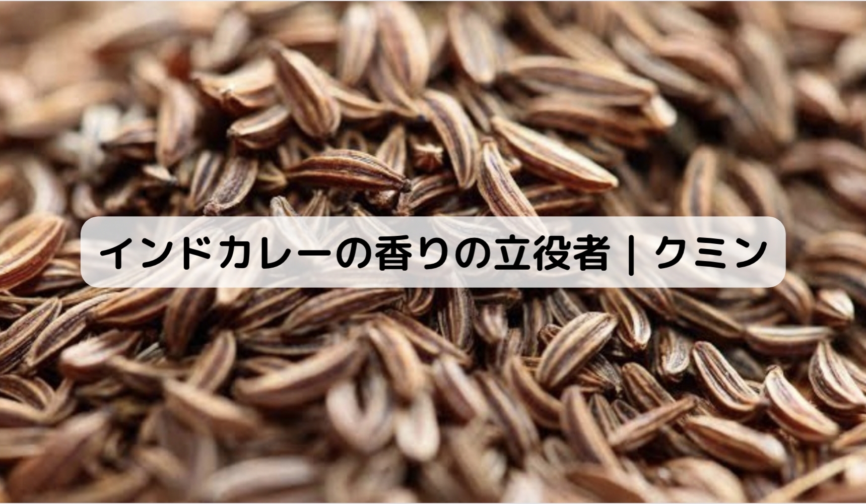 インドのクミン