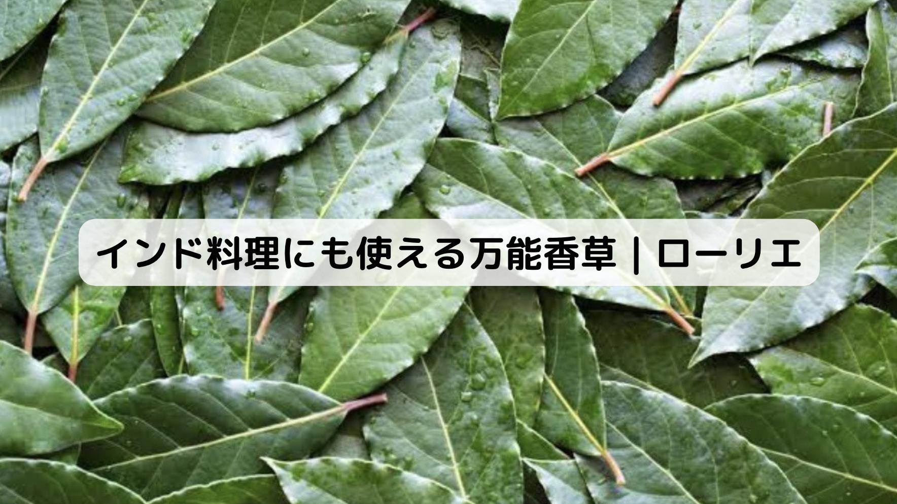 インドのローリエ