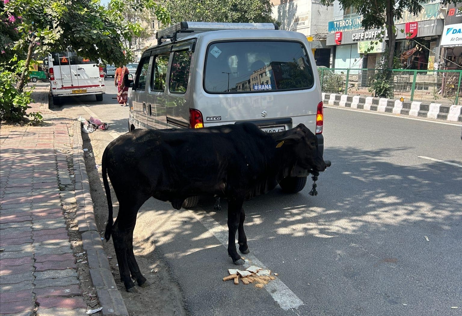 インドの街にいる牛