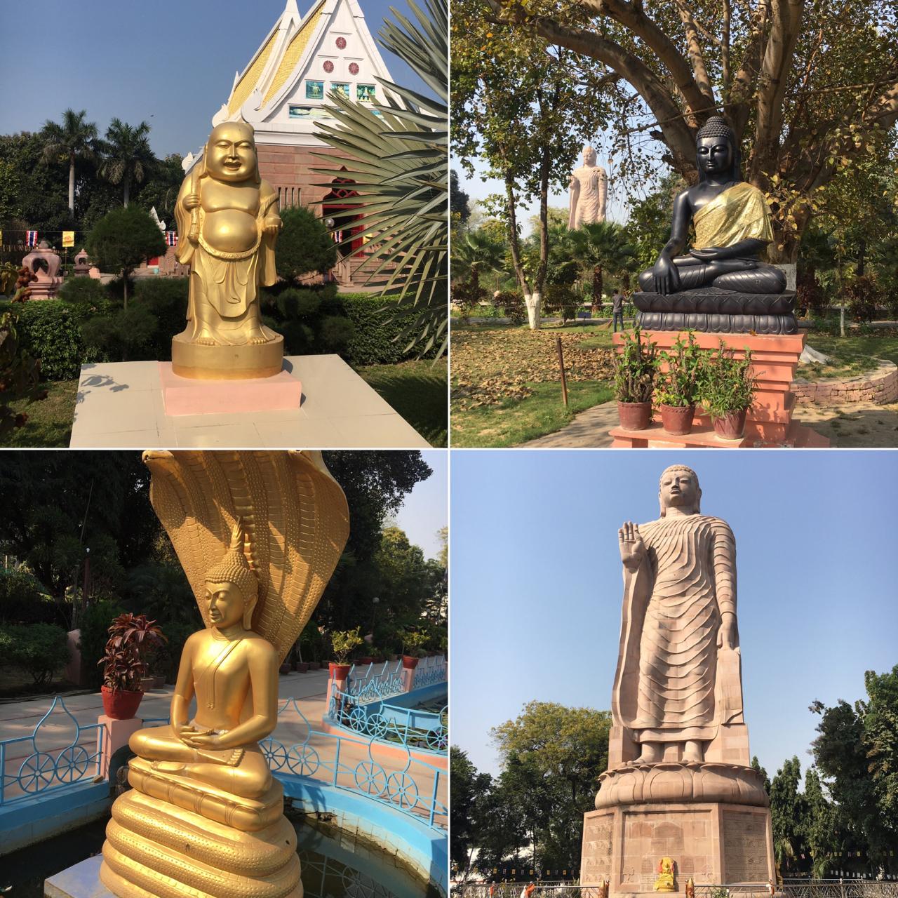 インドサールナートコーディネート