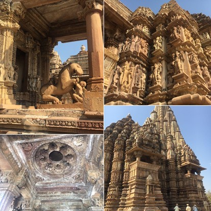 インドロケコーディネーター