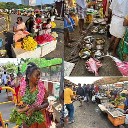 チェンナイ取材